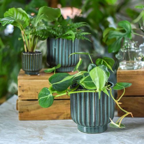Floristik24 Macetero de cerámica, decoración floral, jardinera ondulada verde, marrón Ø15.5cm H16.5cm