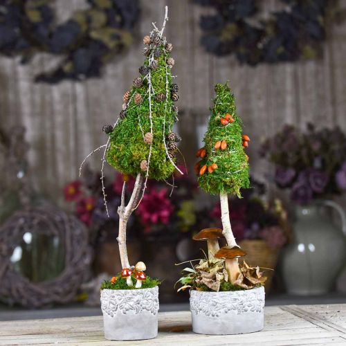 Floristik24 Recipiente de cerámica, maceta con decoración de roble, macetero verde / blanco / gris Ø13cm H11.5cm juego de 3