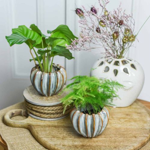 Floristik24 Macetero de cerámica, macetero ingenioso, macetero turquesa, beige, marrón Ø11,5cm H9cm 2pcs