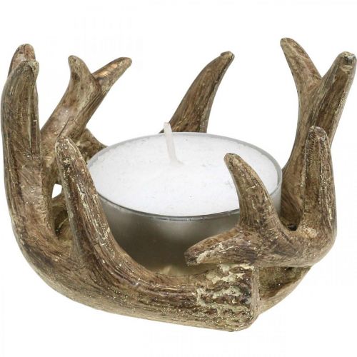Floristik24 Portavelas de té candelabro asta oro H7cm Ø10cm 2pcs