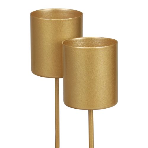 Floristik24 Portavelas candelabro de espina palo dorado 3,5×4cm 4ud