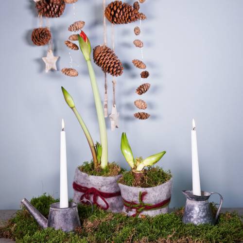 Floristik24 Jarra candelabro aspecto antiguo Al. 12/9 cm 2 uds.