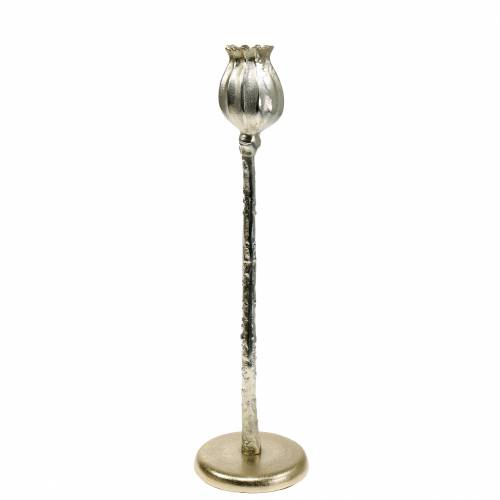 Floristik24 Candelabro flor de amapola champán A41cm