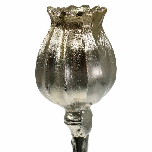 Floristik24 Candelabro flor de amapola champán A34cm
