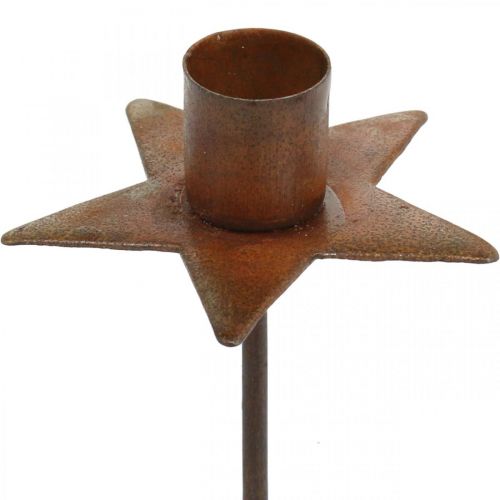 Floristik24 Estrella decorativa para velas, portavelas de árbol para pegar, decoración navideña de metal pátina Ø5cm