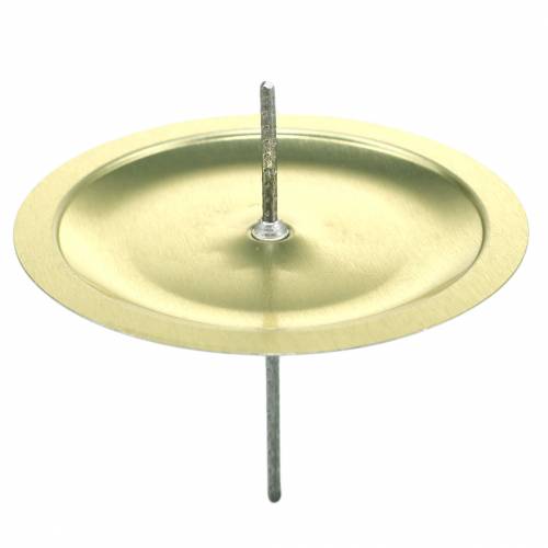 Floristik24 Portavelas con espina oro Ø6cm 36 piezas