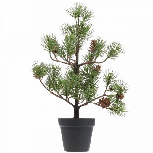 Floristik24 Pino artificial en maceta Árbol de Navidad con piñas 52cm