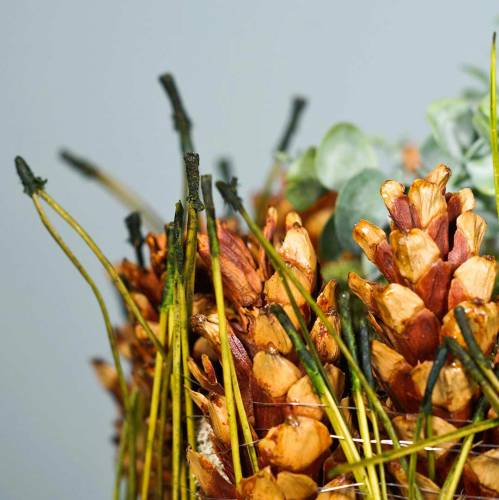 Floristik24 Agujas de pino verde 400g