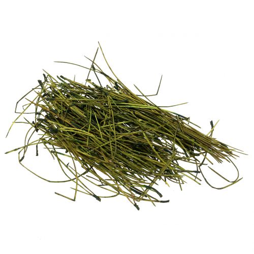 Floristik24 Agujas de pino verde 400g