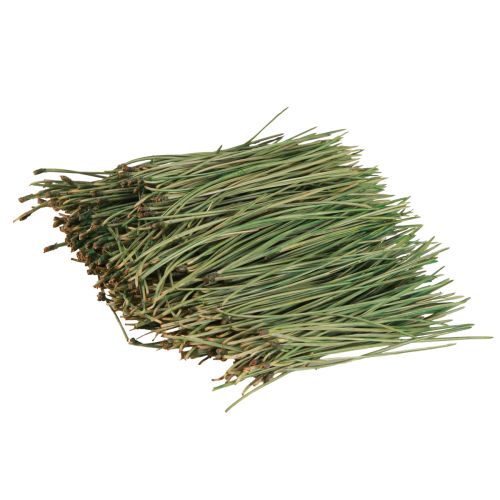 Floristik24 Agujas de pino suministros para manualidades verdes Navidad 50g 3 piezas