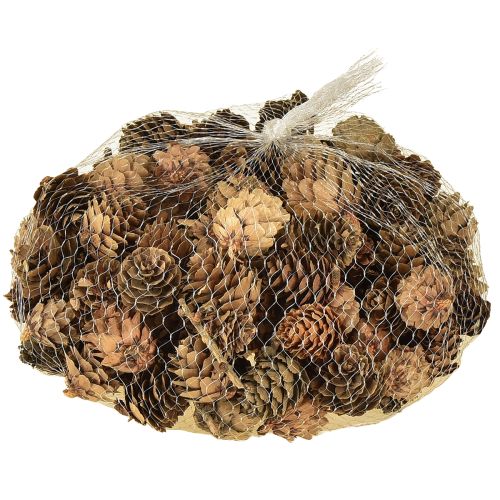 Artículo Piñas naturales pequeñas decoración en red 2,5-3,5cm 300g