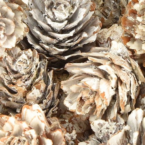 Artículo Piñas blanqueadas, pequeñas piñas decorativas en red, 2,5-3,5 cm, 500 g