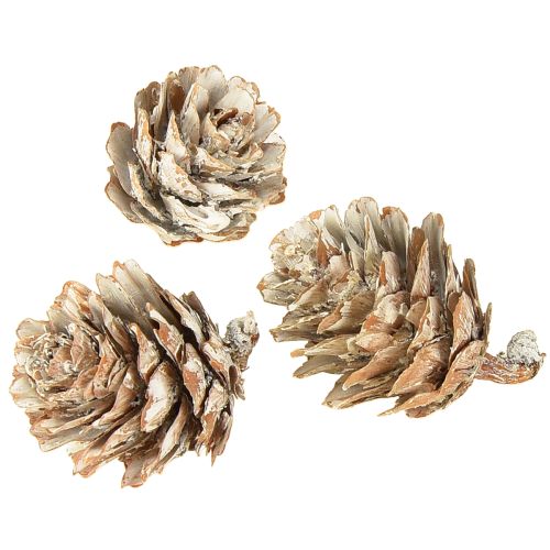 Artículo Piñas blanqueadas, pequeñas piñas decorativas en red, 2,5-3,5 cm, 500 g