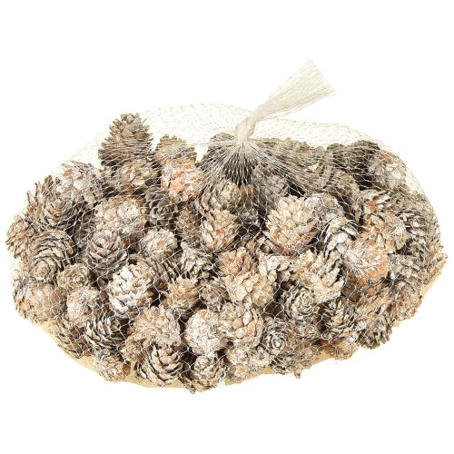 Artículo Piñas blanqueadas, pequeñas piñas decorativas en red, 2,5-3,5 cm, 500 g
