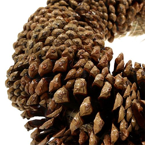 Floristik24 Corona de piñas redonda plana Ø30cm