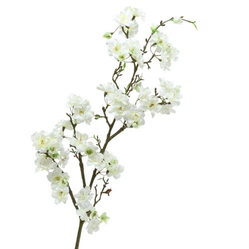 Floristik24 Rama de flor de cerezo blanca 105cm