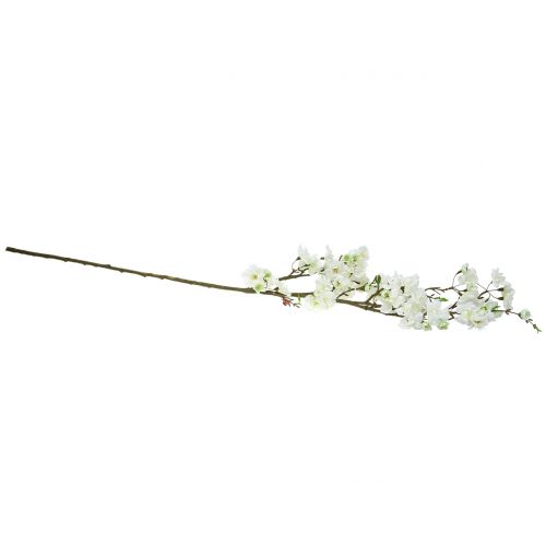 Floristik24 Rama de flor de cerezo blanca 105cm