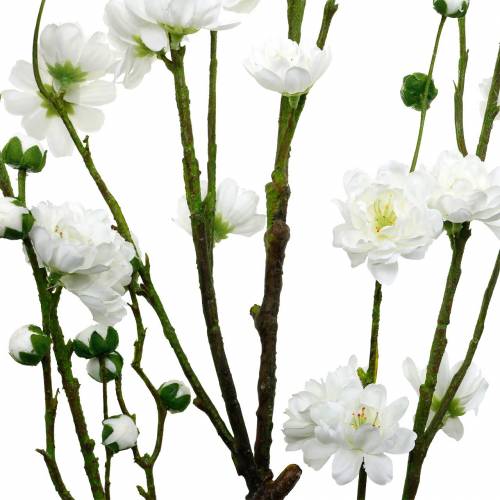 Floristik24 Rama de flor de cerezo rama decorativa artificial blanca decoración de primavera de flor de cerezo