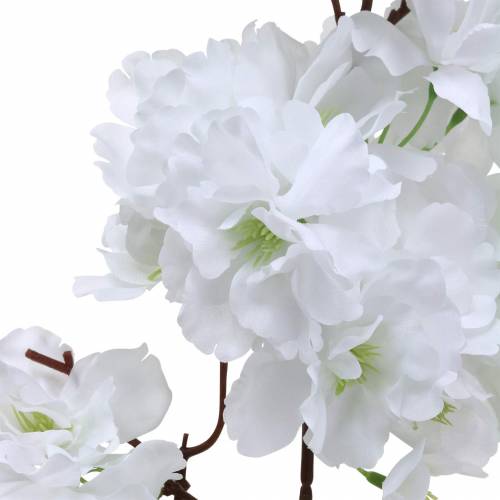 Floristik24 Rama de flor de cerezo blanca artificial 103 cm