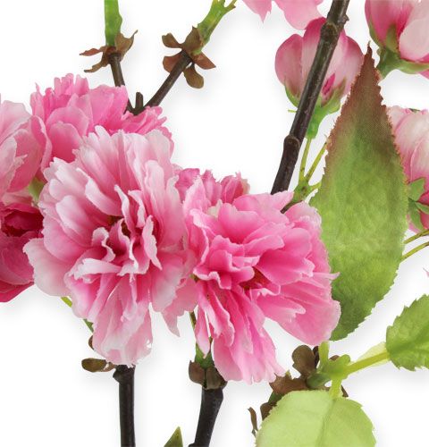 Floristik24 Rama de cerezo en rosa 77cm