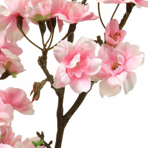 Floristik24 Rama de flor de cerezo rosa 105cm