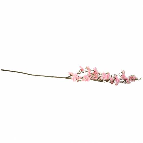 Floristik24 Rama de flor de cerezo rosa 105cm