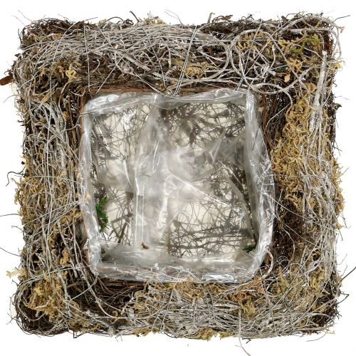 Floristik24 Cojín musgo, vid 25cm x25cm