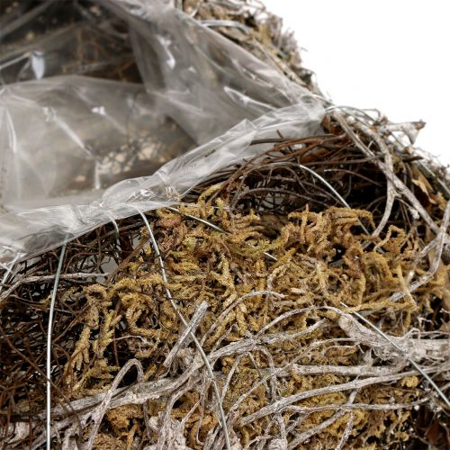 Floristik24 Cojín musgo, vid 25cm x25cm