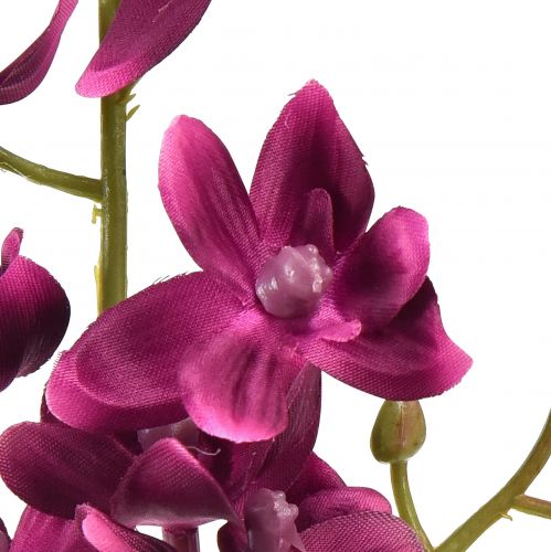 Artículo Pequeña orquídea Phalaenopsis flor artificial violeta oscuro 30cm