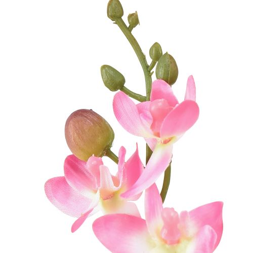 Artículo Pequeña Orquídea Phalaenopsis Flor Artificial Rosa 30cm
