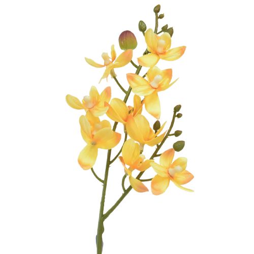 Floristik24 Pequeña orquídea Phalaenopsis artificial amarilla 30cm