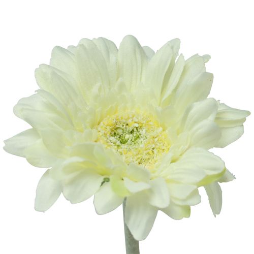 Floristik24 Flores Artificiales Gerbera Blanca 45cm