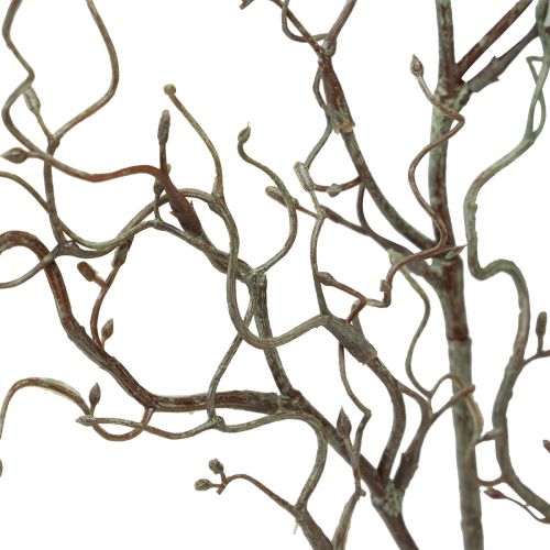 Floristik24 Rama de sauce artificial con capullos marrón primavera L76cm