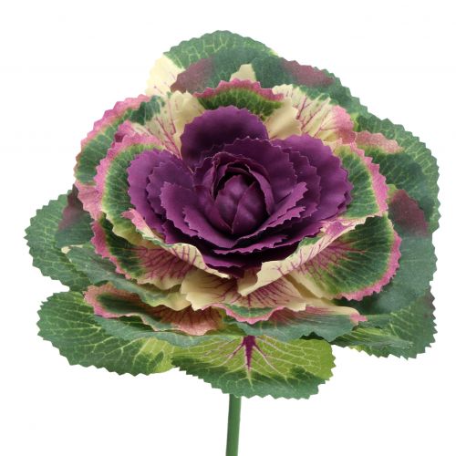 Floristik24 Repollo artificial morado, verde 25cm 6pcs