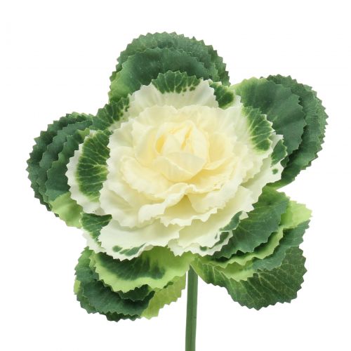 Artículo Repollo ornamental artificial blanco, verde 25cm 6pcs