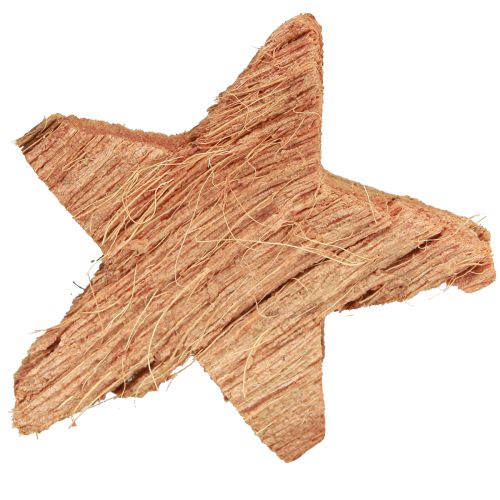 Artículo Decoración estrella de coco natural Decoración navideña natural 5,5-7cm 30 piezas