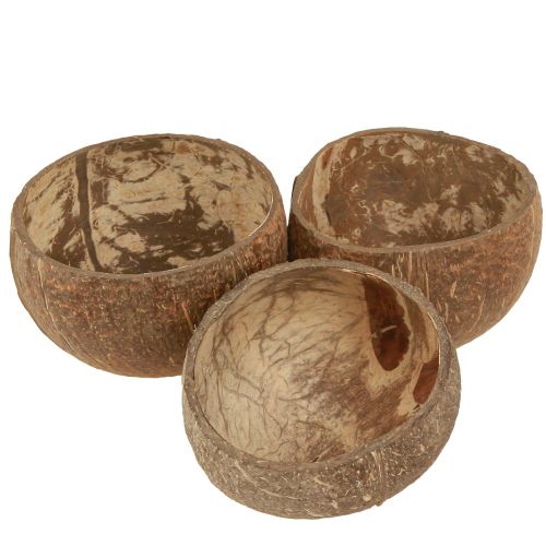Floristik24 Cuenco de coco cuenco de coco decorativo natural partido por la mitad 10cm 6 piezas