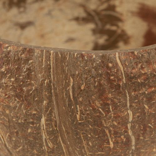 Floristik24 Cuenco de coco cuenco de coco decorativo natural partido por la mitad 10cm 6 piezas