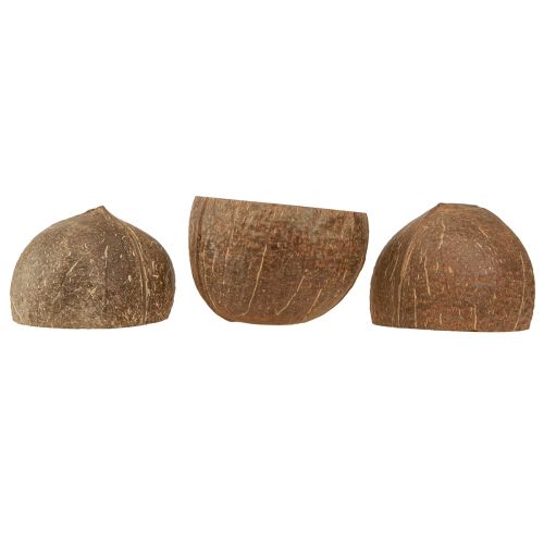 Artículo Cuenco de coco cuenco de coco decorativo natural partido por la mitad 10cm 6 piezas