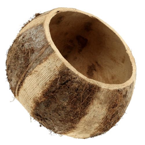 Artículo Cáscara de coco natural 5 piezas