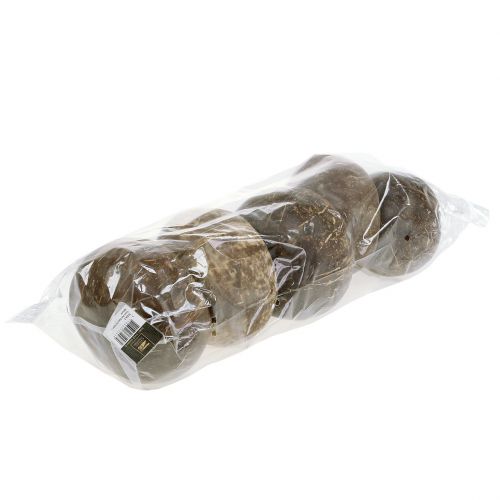 Floristik24 Cáscaras de coco pulidas naturales 5 piezas