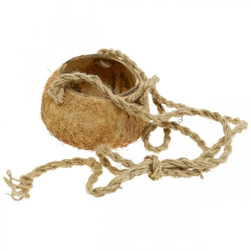 Artículo Cuenco colgante de coco, cuenco de plantas naturales, cesta colgante Ø8cm L55cm