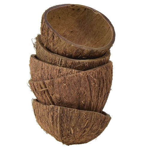 Floristik24 Cuenco de coco decoración medio cocos naturales Ø7-9cm 5uds