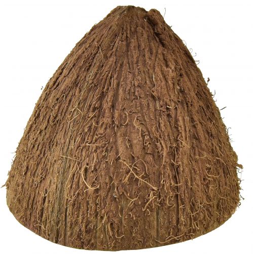 Floristik24 Cuenco de coco decoración medio cocos naturales Ø7-9cm 5uds