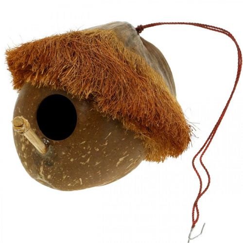 Floristik24 Coco como caja nido, pajarera para colgar, decoración de coco Ø16cm L46cm