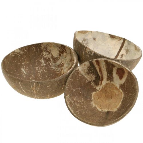 Floristik24 Cuenco decorativo coco natural pulido 6 piezas