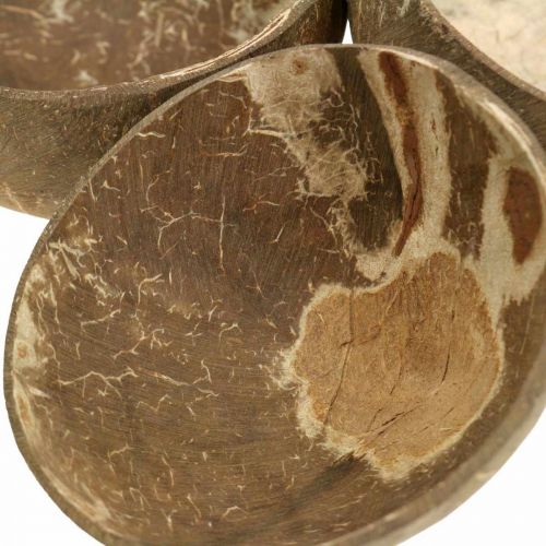 Floristik24 Cuenco decorativo coco natural pulido 6 piezas