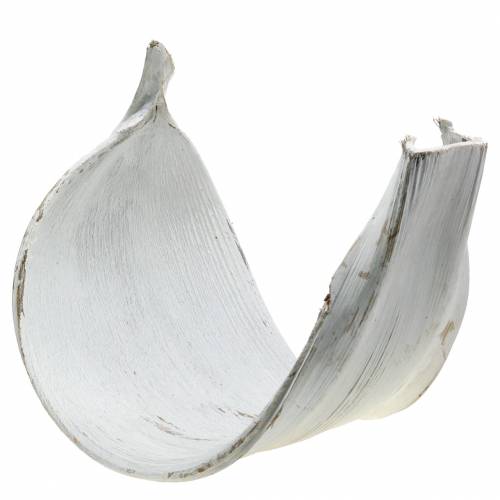 Floristik24 Cuenco de coco hoja de coco blanco lavado decoración natural 35cm
