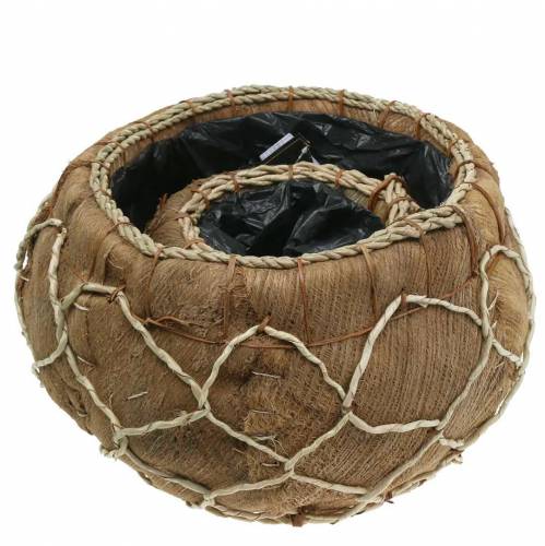 Floristik24 Jardinera de coco natural Ø37 / 24cm, juego de 2