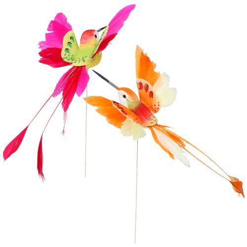 Floristik24 Colibrí en el cable para enchufar Rosa, Naranja 17cm 6pcs